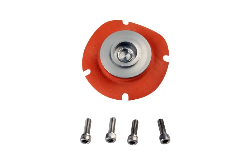 Aeromotive Regulator Repair Kit ( 13202 13113 13209 13214 13212)